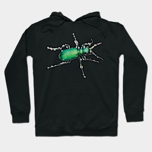 Six-spotted Tiger Beetle Hoodie